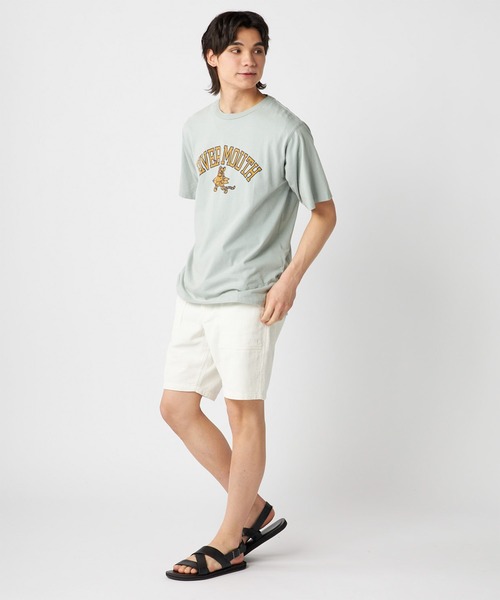 Ocean Pacific(オーシャンパシフィック)の「OP/オーピー 半袖Tシャツ クルーネック フロントプリント オゾンウォッシュ 514518(Tシャツ/カットソー・メンズ・ミント/ホワイト/チャコールグレー・M/L/XL)」の21枚目の写真