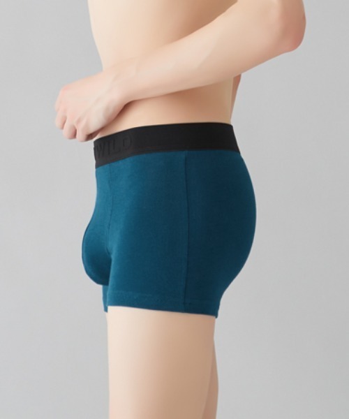 BODY WILD(ボディーワイルド)の「BODYWILD/ボディワイルド ボクサーパンツ オーガニックコットン(ボクサーパンツ・メンズ・レッド/ネイビー/ブラック/ブルーグリーン/チャコールグレー・LARGE/X-LARGE/MEDIUM)」の8枚目の写真