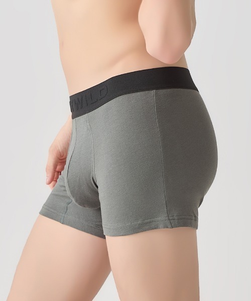 BODY WILD(ボディーワイルド)の「BODYWILD/ボディワイルド ボクサーパンツ オーガニックコットン(ボクサーパンツ・メンズ・レッド/ネイビー/ブラック/ブルーグリーン/チャコールグレー・LARGE/X-LARGE/MEDIUM)」の12枚目の写真