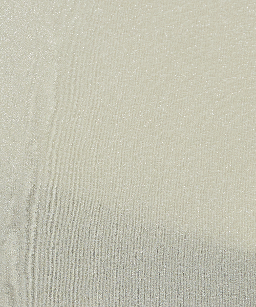 abahouse mavie（アバハウスマヴィ）の「【シアートップス】ラメメロウハイネックプルオーバー（Tシャツ/カットソー・レディース・ブラック/アイボリー/ホワイト・フリー）」の22枚目の写真