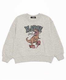 スケートダイナソートレーナー