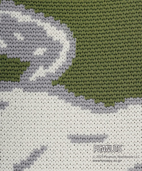 cross marche(クロスマルシェ)の「【PEANUTS/ピーナッツ】SNOOPY/スヌーピー ミニトートバッグ(トートバッグ・レディース・ネイビー/カーキ・FREE)」の21枚目の写真