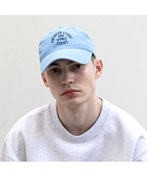 NAVYTEAM（ネイビーチーム）の「NTV BC-AMERICAN LEAGUE 1901 CAP-SKY BLUE（キャップ）」