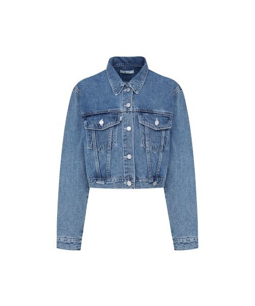 BICE ACHIEVE YOUTH（バイス アチーブ ユース）の「USA TRUCKER JACKET LIGHT BLUE（デニムジャケット・レディース・その他・ONE SIZE）」の2枚目の写真