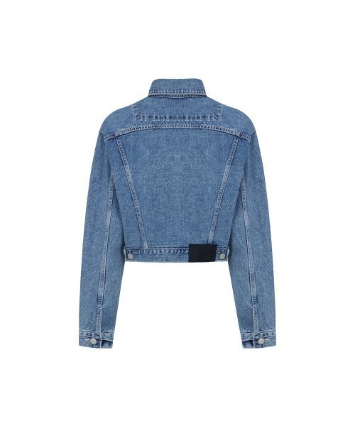 BICE ACHIEVE YOUTH（バイス アチーブ ユース）の「USA TRUCKER JACKET LIGHT BLUE（デニムジャケット・レディース・その他・ONE SIZE）」の3枚目の写真