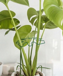 CALIFORNIA OUTFITTERS(�J���t�H���j�A �A�E�g�t�B�b�^�[�Y)��2C37-KR �f�U�C���v�����g�T�|�[�g(�t�����[�x�[�X)