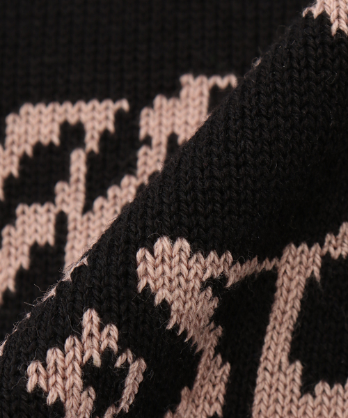 Carhartt WIP（カーハートダブリューアイピー）の「【CARHARTT WIP 】 CHEDDA WIP BEANIE（ニットキャップ/ビーニー・レディース・グリーン/ブラック・FREE）」の6枚目の写真