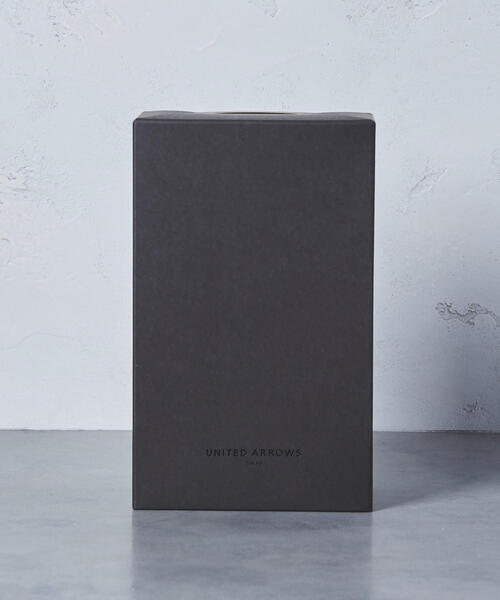 UNITED ARROWS（ユナイテッドアローズ）の「UWCS ポインテッドチャンキー パンプス（パンプス・レディース・イエロー/ブラック/ターコイズブルー/パープル/ベージュ/マスタード/その他1/ホワイト・35h/36/35/37/38/36h/37h）」の14枚目の写真