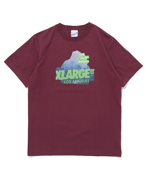 XLARGE（エクストララージ）の「S/S TEE SLANTED FES OG（Tシャツ/カットソー・メンズ・ホワイト/ブラック/アッシュ/バーガンディー/ネイビー・MEDIUM/LARGE/X-LARGE/SMALL）」の5枚目の写真