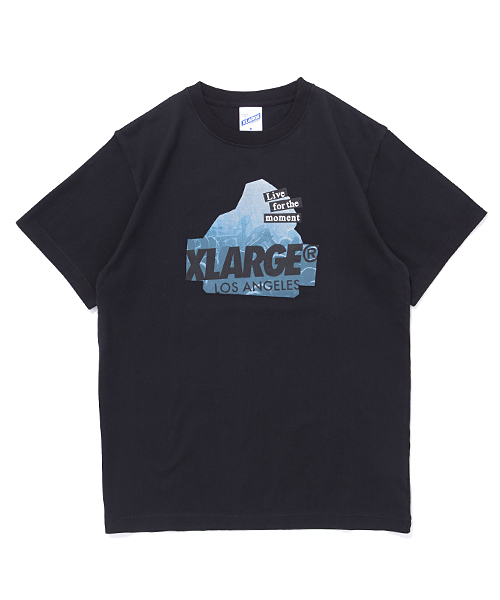 XLARGE（エクストララージ）の「S/S TEE SLANTED FES OG（Tシャツ/カットソー・メンズ・ホワイト/ブラック/アッシュ/バーガンディー/ネイビー・MEDIUM/LARGE/X-LARGE/SMALL）」の3枚目の写真