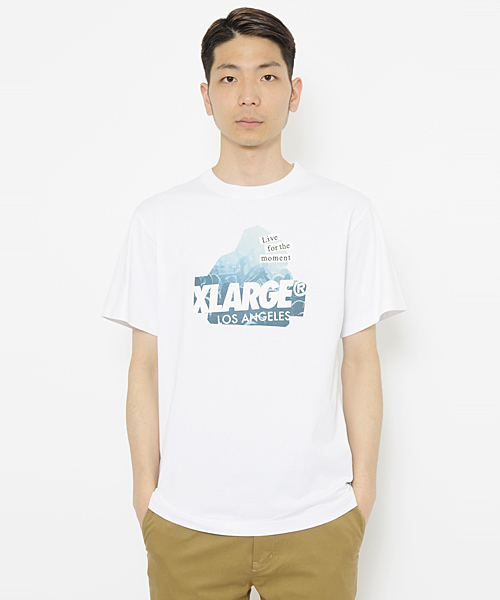 XLARGE（エクストララージ）の「S/S TEE SLANTED FES OG（Tシャツ/カットソー・メンズ・ホワイト/ブラック/アッシュ/バーガンディー/ネイビー・MEDIUM/LARGE/X-LARGE/SMALL）」の6枚目の写真