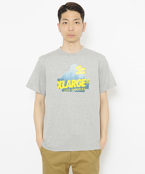 XLARGE（エクストララージ）の「S/S TEE SLANTED FES OG（Tシャツ/カットソー・メンズ・ホワイト/ブラック/アッシュ/バーガンディー/ネイビー・MEDIUM/LARGE/X-LARGE/SMALL）」の8枚目の写真
