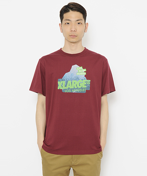 XLARGE（エクストララージ）の「S/S TEE SLANTED FES OG（Tシャツ/カットソー・メンズ・ホワイト/ブラック/アッシュ/バーガンディー/ネイビー・MEDIUM/LARGE/X-LARGE/SMALL）」の10枚目の写真