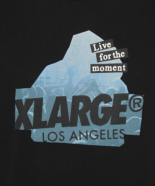 XLARGE（エクストララージ）の「S/S TEE SLANTED FES OG（Tシャツ/カットソー・メンズ・ホワイト/ブラック/アッシュ/バーガンディー/ネイビー・MEDIUM/LARGE/X-LARGE/SMALL）」の13枚目の写真