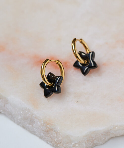 ear PAPILLONNER(イアパピヨネ)の「《WEB限定/金属アレルギー対応/ステンレス》星/バイカラースターピアス(ピアス(両耳用)・レディース・シルバー/ゴールド・FREE)」の1枚目の写真