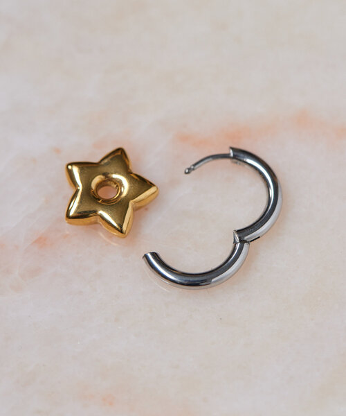 ear PAPILLONNER(イアパピヨネ)の「《WEB限定/金属アレルギー対応/ステンレス》星/バイカラースターピアス(ピアス(両耳用)・レディース・シルバー/ゴールド・FREE)」の5枚目の写真