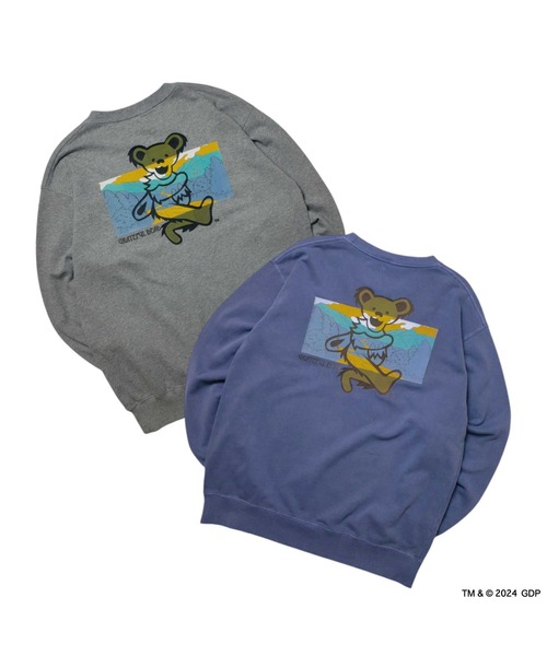 Grateful Dead(グレイトフルデッド)の「RIVER SIDE CULTURE/Grateful Dead RIVERSIDE BEAR TR (M4)(スウェット・メンズ・ネイビー/グレー・X-LARGE/LARGE/MEDIUM)」の9枚目の写真