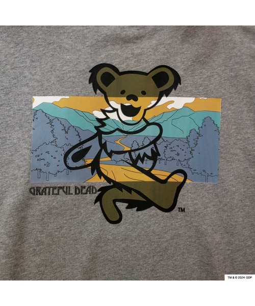 Grateful Dead(グレイトフルデッド)の「RIVER SIDE CULTURE/Grateful Dead RIVERSIDE BEAR TR (M4)(スウェット・メンズ・ネイビー/グレー・X-LARGE/LARGE/MEDIUM)」の11枚目の写真