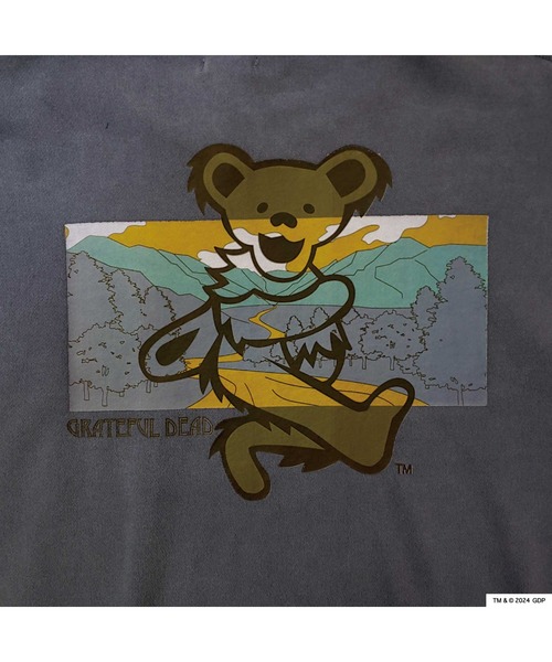 Grateful Dead(グレイトフルデッド)の「RIVER SIDE CULTURE/Grateful Dead RIVERSIDE BEAR TR (M4)(スウェット・メンズ・ネイビー/グレー・X-LARGE/LARGE/MEDIUM)」の13枚目の写真
