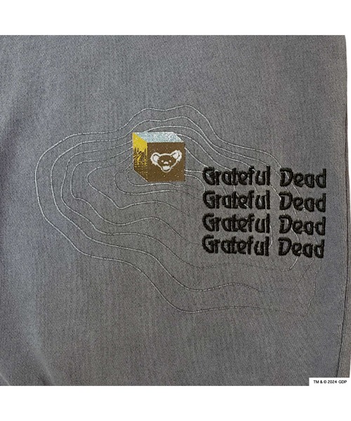 Grateful Dead(グレイトフルデッド)の「RIVER SIDE CULTURE/Grateful Dead RIVERSIDE BEAR TR (M4)(スウェット・メンズ・ネイビー/グレー・X-LARGE/LARGE/MEDIUM)」の12枚目の写真