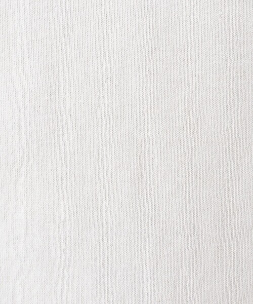 NOLLEY’S（ノーリーズ）の「【STONEWOLD】SLOWLY WAGON バックプリントTシャツ 25SS（Tシャツ/カットソー・メンズ・ホワイト/チャコールグレー/ブルー/グレイッシュベージュ・S/M/L）」の17枚目の写真