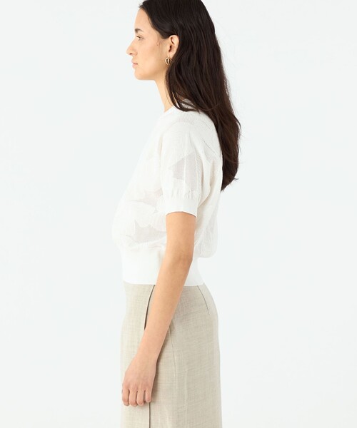 ボタニカルメッシュ ハーフスリーブプルオーバー（ニット