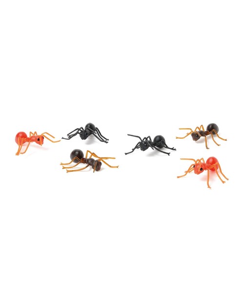 bpr BEAMS（ビーピーアール ビームス ）の「Archie McPhee / Ants!（フィギュア・レディース・その他・ONE SIZE）」の3枚目の写真