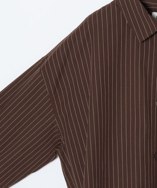 JEANASIS（ジーナシス）の「【Les Fleurs】ストライプシャツLS/641411（シャツ/ブラウス・レディース・ホワイト/ブラウン/ブルー・FREE）」の6枚目の写真