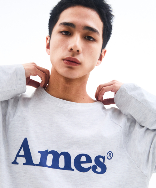 AMESWORLDWIDE（アメスワールドワイド）の「BASIC LOGO LONGSLEEVE TEE LIGHT GREY（Tシャツ/カットソー・レディース・その他・SMALL/MEDIUM/LARGE）」の9枚目の写真