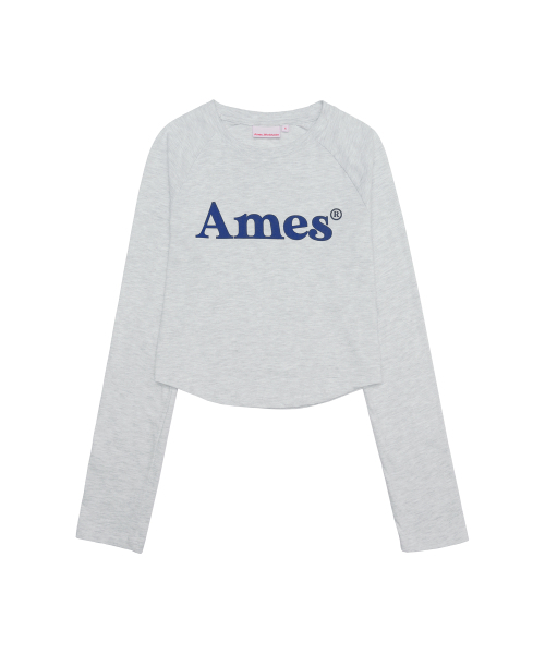 AMESWORLDWIDE（アメスワールドワイド）の「BASIC LOGO LONGSLEEVE TEE LIGHT GREY（Tシャツ/カットソー・レディース・その他・SMALL/MEDIUM/LARGE）」の11枚目の写真