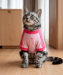 adidas（アディダス）の「ペット カリ Tシャツ / アディダスオリジナルス adidas Originals（ペットウェア）」