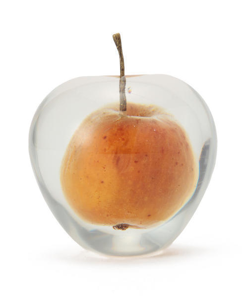 dugudagii レジンリンゴ 2-tacs（ツータックス）の「2-tacs 『BROWN by 2-tacs』×DUGUDAGII