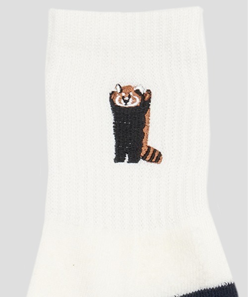 Design Tshirts Store graniph（デザイン　ティーシャツ　ストア　グラニフ）の「FRUIT OF THE LOOM× graniph イカク Q（ソックス/靴下・メンズ・マルチ・25cm～27cm）」の4枚目の写真