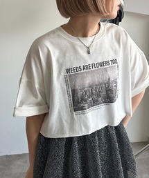ビッグ・クロップド サイズアソートフォトT【ZOZOTOWN限定アイテム】