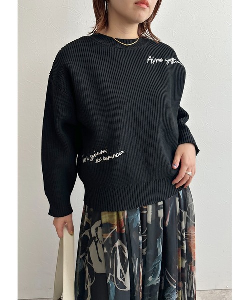 palm RICHE（ポームリシュ）の「刺繍ニットTOPS（ニット/セーター・レディース・ブラック/ベージュ/ネイビー・M）」の7枚目の写真