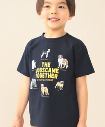 BEAMS mini | いぬ ねこ Tシャツ 2026SS(90~140cm)(Tシャツ/カットソー)