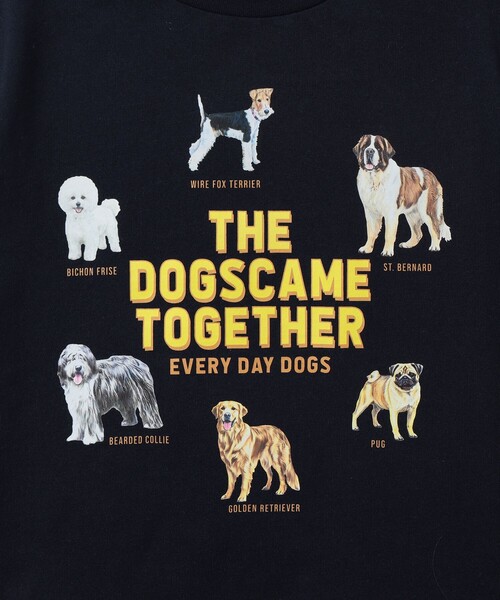 BEAMS mini(ビームスミニ)の「いぬ ねこ Tシャツ 2026SS(90~140cm)(Tシャツ/カットソー・キッズ・ネイビー/ナチュラル・140/130/120/110/100/90)」の16枚目の写真