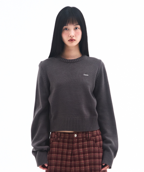 AMESWORLDWIDE（アメスワールドワイド）の「BASIC SMALL LOGO KNIT CHARCOAL（ニット/セーター・レディース・その他・SMALL/MEDIUM/LARGE）」の2枚目の写真