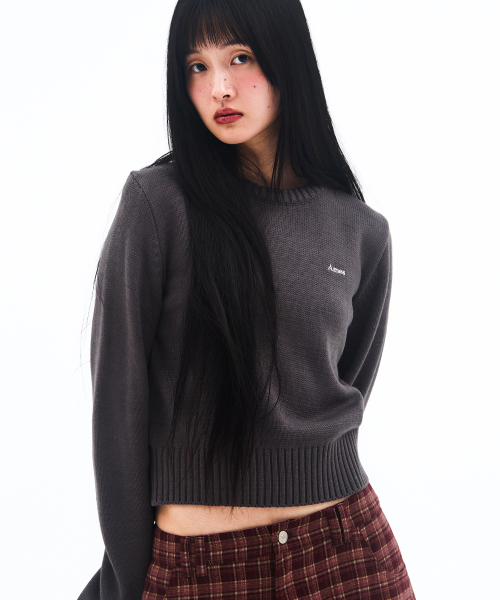 AMESWORLDWIDE（アメスワールドワイド）の「BASIC SMALL LOGO KNIT CHARCOAL（ニット/セーター・レディース・その他・SMALL/MEDIUM/LARGE）」の6枚目の写真