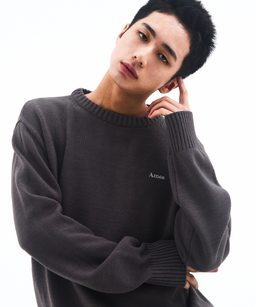 AMESWORLDWIDE（アメスワールドワイド）の「BASIC SMALL LOGO KNIT CHARCOAL（ニット/セーター・レディース・その他・SMALL/MEDIUM/LARGE）」の9枚目の写真