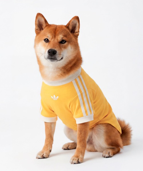  originals アディダス ペット 服 イエロー M 犬 ペット カリ Tシャツ / アディダスオリジナルス adidas Originals