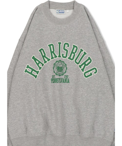 SPINNS（スピンズ）の「【ゆったりシルエット】DISCUS 裏起毛カレッジスウェット（スウェット・レディース・ブラック/ネイビー/グレー/オフホワイト/グリーン/オレンジ・M/L）」の16枚目の写真