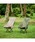 Coleman�i�R�[���}���j�́u�q�[�����O�`�F�ANX HB �i�I���[�u�j�i�A�E�g�h�A�O�b�Y�j�v�b�I���[�u