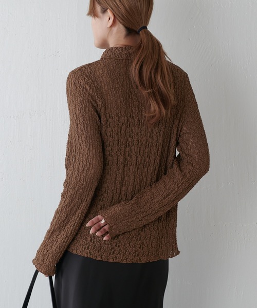 Lui's（ルイス）の「シアーレースシャツ（シャツ/ブラウス・レディース・アイボリー/ブラック/ブラウン・FREE）」の19枚目の写真