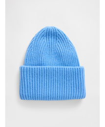 GAP(�M���b�v)��CashSoft �J�V�~���^�b�` �r�[�j�[(�j�b�g�L���b�v/�r�[�j�[)