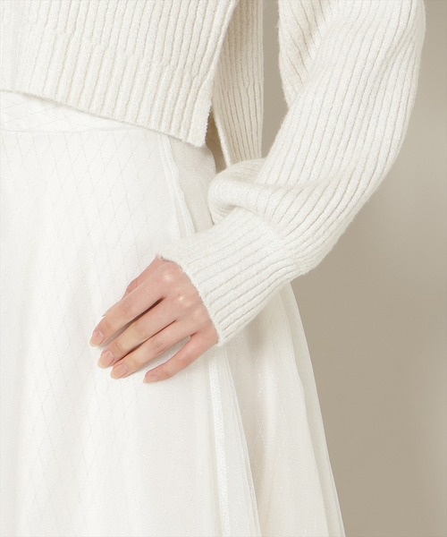 WILLSELECTION（ウィルセレクション）の「ブローチ付きクロップドラメニット（ニット/セーター・レディース・ピンク/オフホワイト/ブラック/サックスブルー/ミント・FREE）」の13枚目の写真