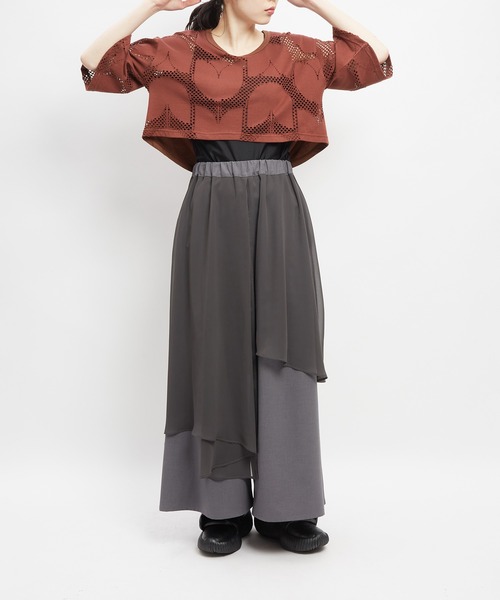 gomme（ゴム）の「ショートメッシュＴ（Tシャツ/カットソー・レディース・ブラック/ブラウン/ホワイト・MEDIUM）」の13枚目の写真
