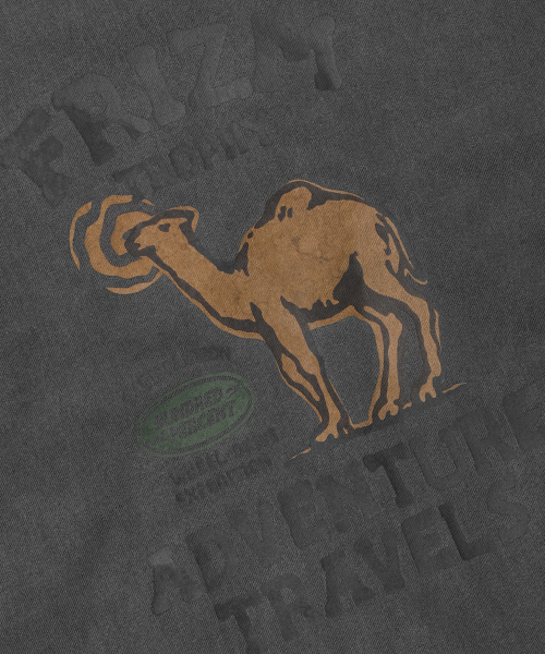 FRIZMWORKS(フリズムワークス)の「TROPHY PIGMENT DYEING TEE _ CHARCOAL(Tシャツ/カットソー・メンズ・その他・MEDIUM/LARGE/SMALL)」の5枚目の写真