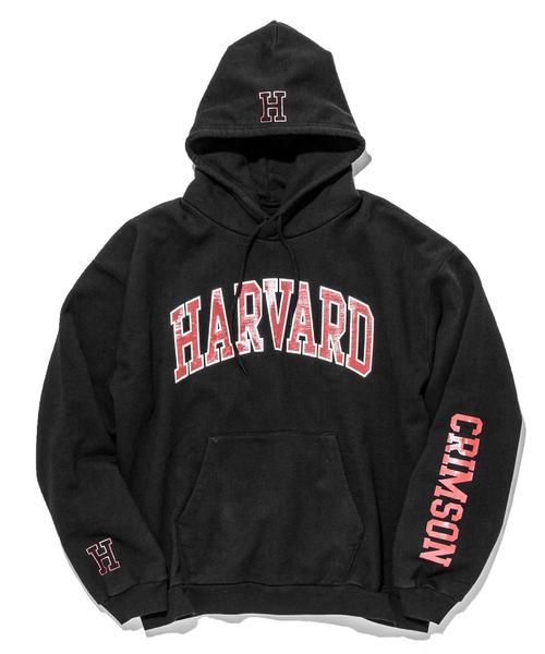 The Coldest Moment ストライプパーカー M ☆WAYV テン☆THE COLDEST MOMENT☆人気 TCM 1972 hooded zip-up