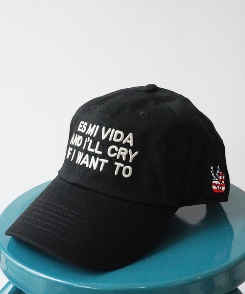 PARKS TOKYO SELECT（パークストウキョウセレクト）の「【WEEK ENDER 】刺繍ロゴ ローCAP（キャップ・メンズ・U/T/P/I/G/B/S/F/E/D/C/N/M/L/K/R/X/Q/O/J/H/A/W/V・FREE）」の5枚目の写真